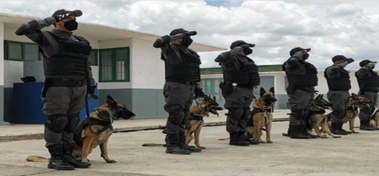 18 elementos de la Unidad Canina mantienen el orden en cárceles del Edomex