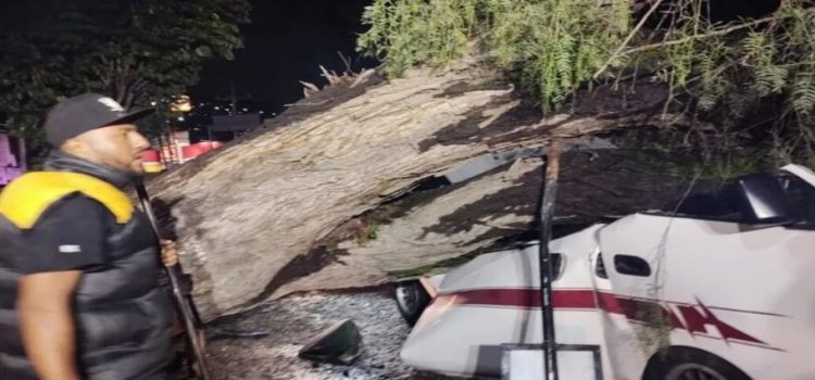Cae árbol tras lluvia en Tlalnepantla; dejó un hombre muerto y una mujer herida