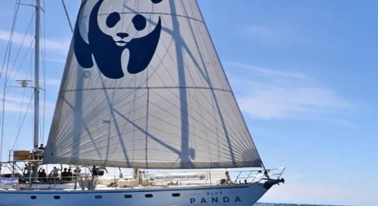 Prohíbe Rusia las actividades de WWF Prohíbe Rusia las actividades de WWF