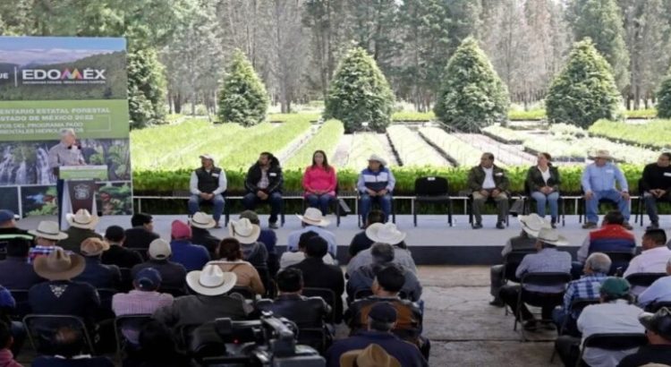 Reforestan más de 15,000 hectáreas en el Edomex