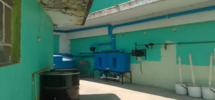 Escuelas resuelven crisis hídrica con sistema de captación de lluvia en Tlalnepantla