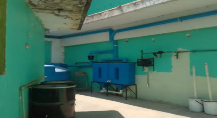 Escuelas resuelven crisis hídrica con sistema de captación de lluvia en Tlalnepantla