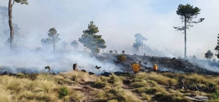 Se han registrado 218 incendios durante primeros meses del 2024 en Edomex