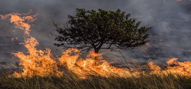 Exhortan a población de Tlalnepantla a evitar incendios
