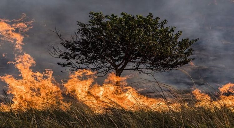 Exhortan a población de Tlalnepantla a evitar incendios