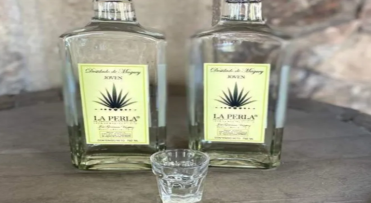 Avanza correctamente denominación de origen y certificación de mezcal en Edomex