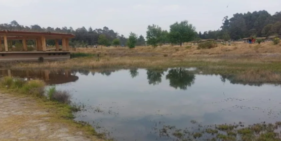 Colectivos invitan a limpiar la laguna de Parque Sierra Morelos en Edomex