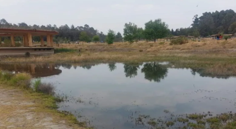 Colectivos invitan a limpiar la laguna de Parque Sierra Morelos en Edomex