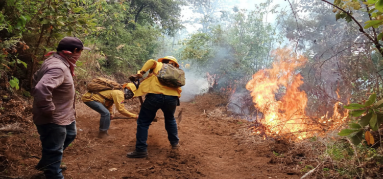 Diputados piden fortalecer acciones contra incendios en Edomex