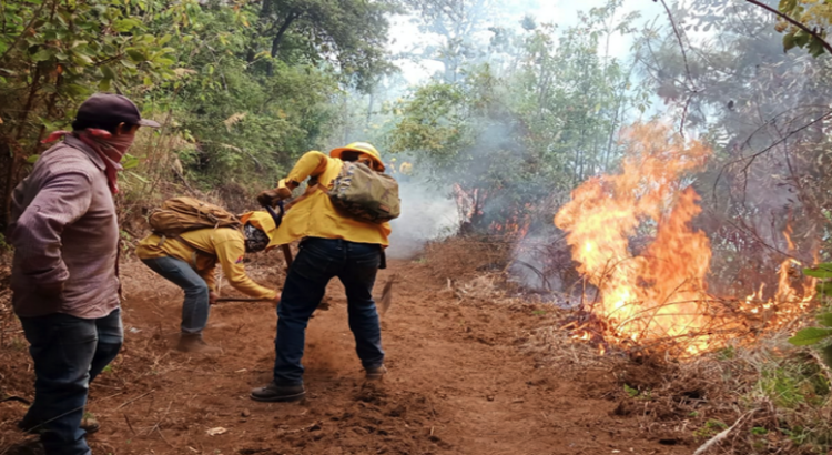 Diputados piden fortalecer acciones contra incendios en Edomex