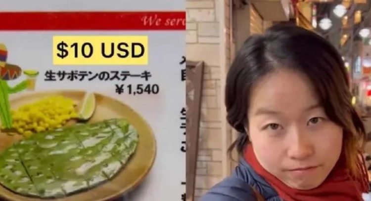 Pásele, pásele por sus nopalitos… a 200 pesos la pieza Pásele, pásele por sus nopalitos… a 200 pesos la pieza