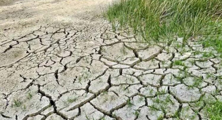 Alerta por sequía: Aumentó a 89 % la superficie de México afectada por la falta de lluvia