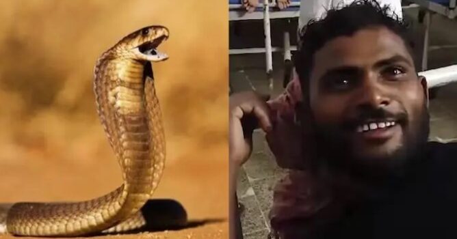 Un hombre en India responde a mordida de serpiente… ¡mordiéndola de vuelta!