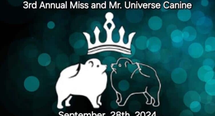 El último ladrido de la moda: Todo listo para el Miss y Mr. Universo Canino 2024