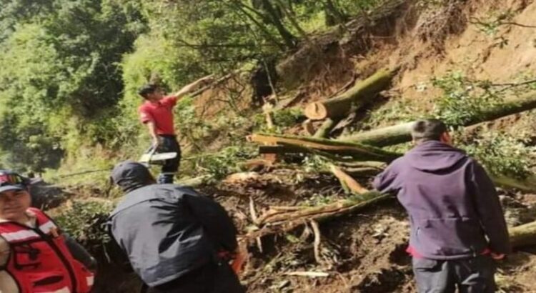 Diputados de Edomex piden declarar “emergencia” en Jilotzingo