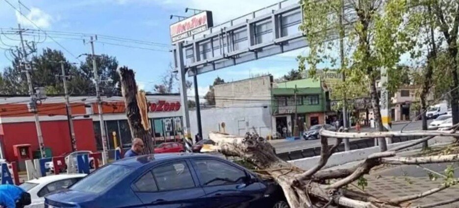 Árbol cayó sobre automóvil en Tlalnepantla