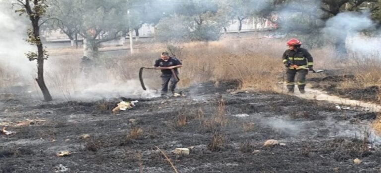Registran incendio de pastizales en el cerro de Zacatenco Tlalnepantla