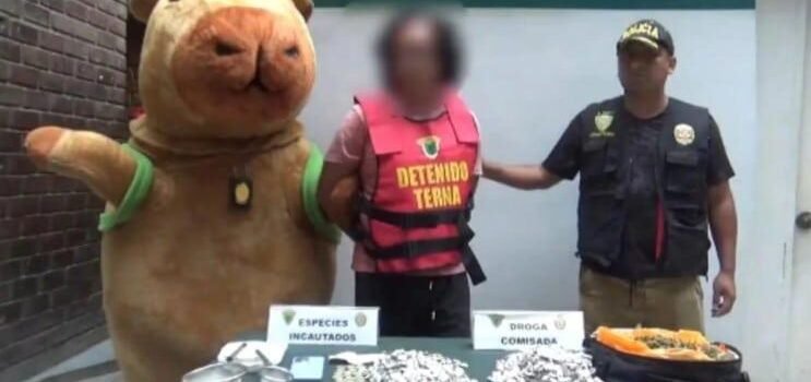 Policía disfrazado de capibara captura a traficante de drogas Policía disfrazado de capibara captura a traficante de drogas