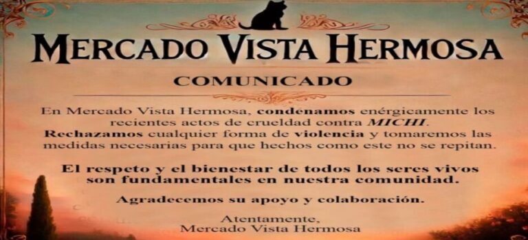 Muerte de gato en un mercado desata indignación en Tlalnepantla