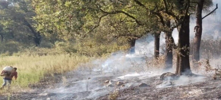Tlalnepantla sufre aumento de incendios forestales