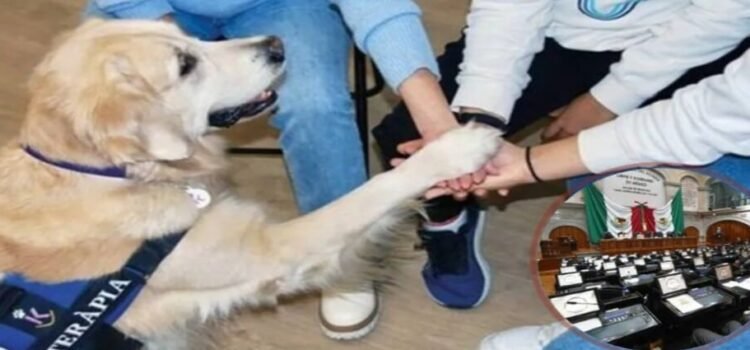 Presentan iniciativas sobre animales de asistencia y terapia al Congreso Edomex