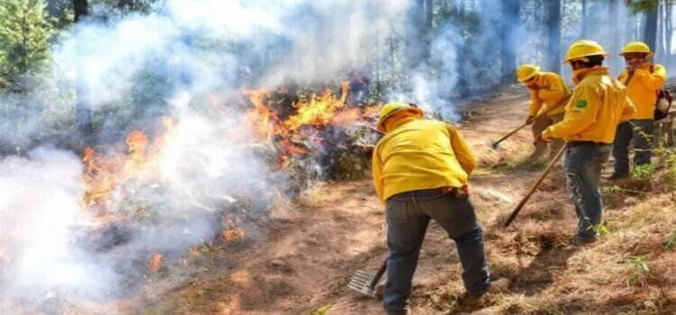 Proponen prisión de hasta 10 años por causar incendios forestales en el Edomex