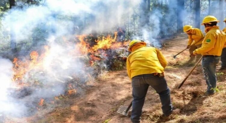 Proponen prisión de hasta 10 años por causar incendios forestales en el Edomex