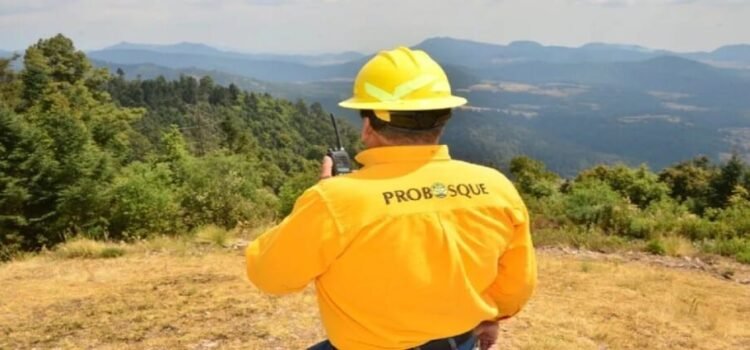 Incendios se producen más en pastizales que en bosques del Edomex