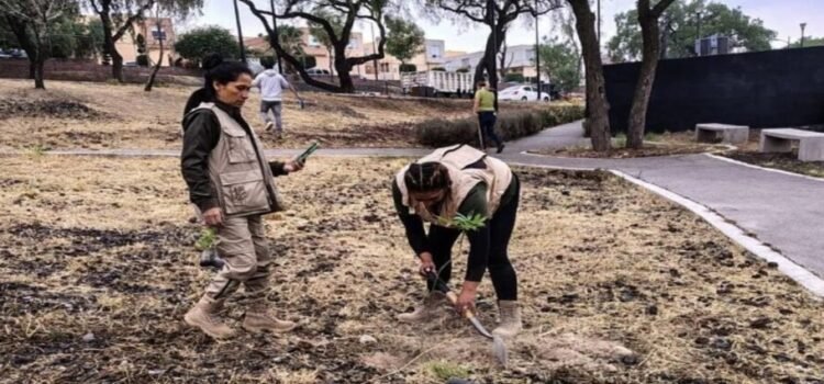 Reforestan Parque de la Ciencia en Tlalnepantla