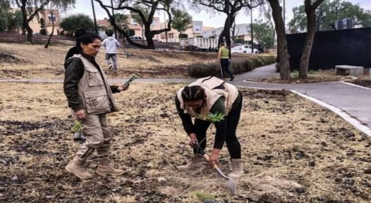 Reforestan Parque de la Ciencia en Tlalnepantla