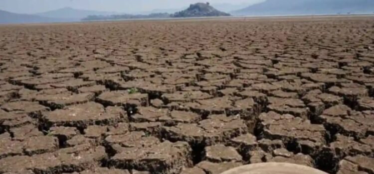 Advierte la ONU sobre “calentamiento global sin precedentes” Advierte la ONU sobre “calentamiento global sin precedentes”