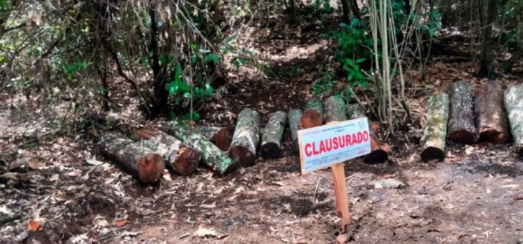 Clausura Profepa predio en Tlalnepantla Profepa clausura Área Natural Protegida en Tlalnepantla