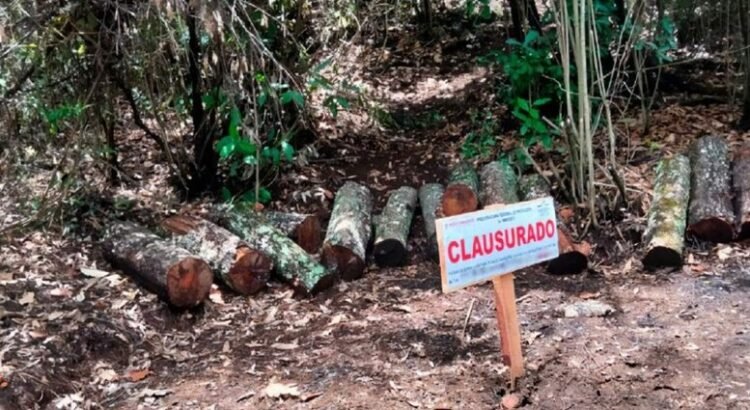 Profepa clausura Área Natural Protegida en Tlalnepantla