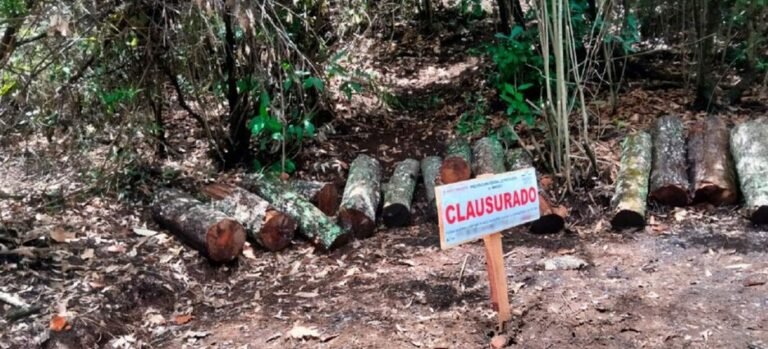 Clausura Profepa predio en Tlalnepantla