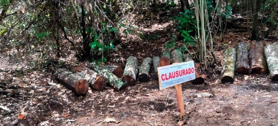Clausura Profepa predio en Tlalnepantla