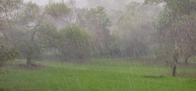 Cae rayo sobre un hombre en campos de cultivo de Tlalnepantla