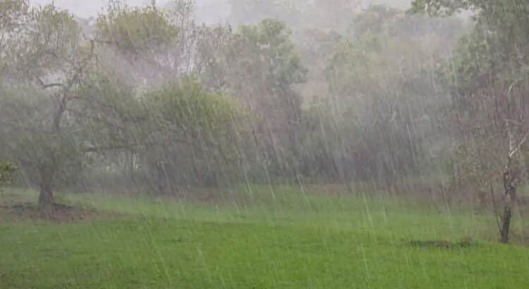 Cae rayo sobre un hombre en campos de cultivo de Tlalnepantla Cae rayo sobre un hombre en campos de cultivo de Tlalnepantla