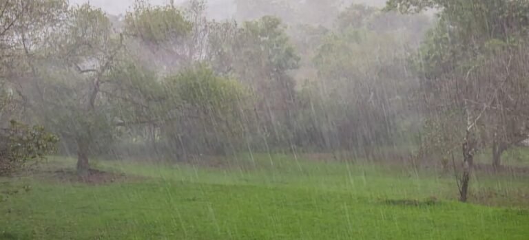 Cae rayo sobre un hombre en campos de cultivo de Tlalnepantla