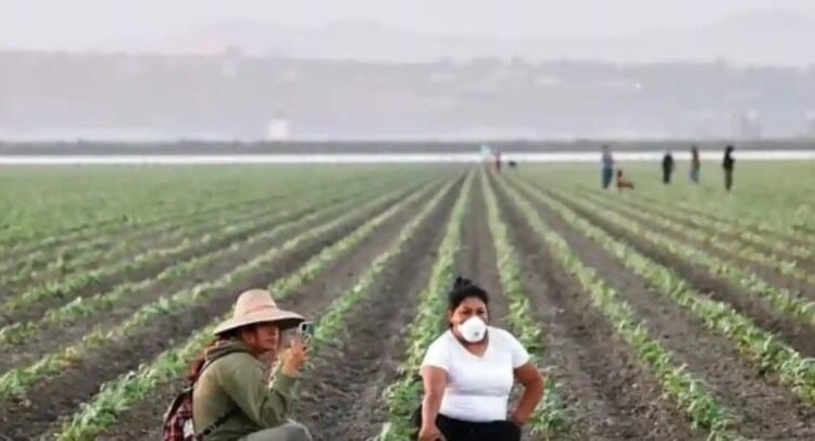 Inician campesinos huelga de 72 horas en California Inician campesinos huelga de 72 horas en California