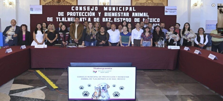 Incrementan esfuerzos en materia de protección y bienestar animal en Tlalnepantla