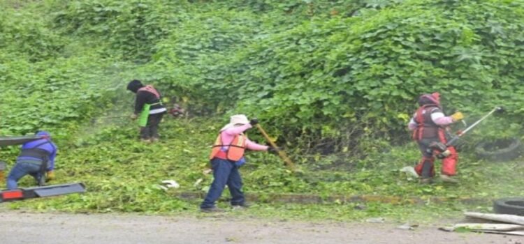 Llega “Conexión Colibrí” a Tlalnepantla; impulsa bienestar comunitario