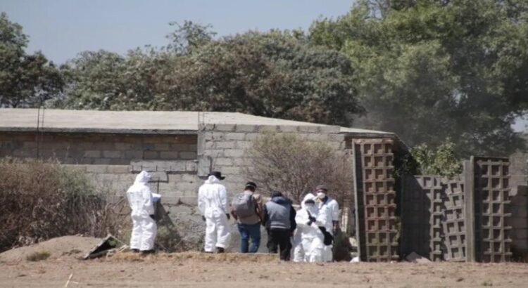 Se encuentran hasta 11,000 cadáveres al año en el Edomex Se encuentran hasta 11,000 cadáveres al año en el Edomex