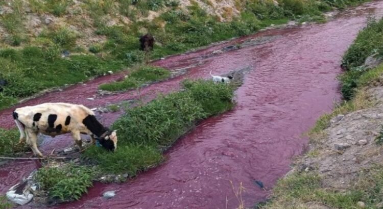 Edomex, el primero en contaminar el Rio Atoyac Edomex, el primero en contaminar el Rio Atoyac