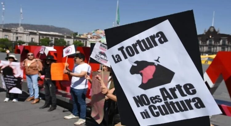 Activistas piden prohibir corridas de toros a Congreso del Edomex Activistas piden prohibir corridas de toros a Congreso del Edomex