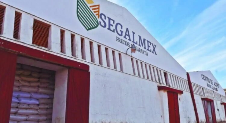 Van 27 detenidos por el caso Segalmex Van 27 detenidos por el caso Segalmex