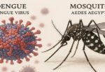 Bajan 92% casos de dengue en Edomex