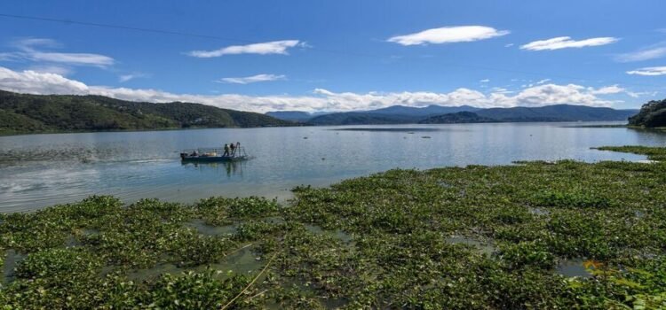 Sistema Cutzamala se encuentra casi al 100%; municipios del Edomex tendrán más agua Sistema Cutzamala se encuentra casi al 100%; municipios del Edomex tendrán más agua