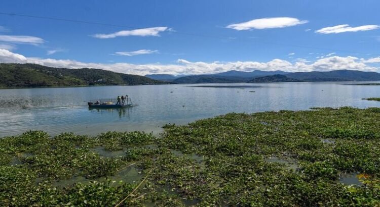 Sistema Cutzamala se encuentra casi al 100%; municipios del Edomex tendrán más agua Sistema Cutzamala se encuentra casi al 100%; municipios del Edomex tendrán más agua