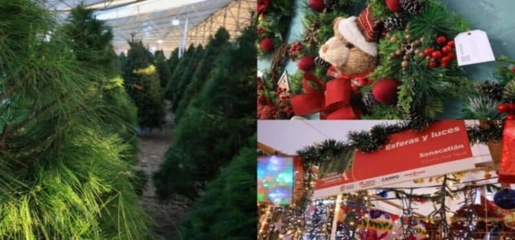 Realizan Expo Navidad 2025 en el Edomex Realizan Expo Navidad 2025 en el Edomex