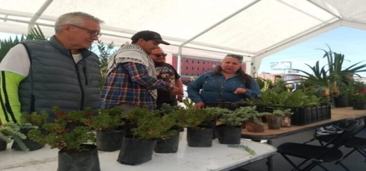 Buscan empezar una nueva etapa ambiental y tecnológica en Tlalnepantla Buscan empezar una nueva etapa ambiental y tecnológica en Tlalnepantla